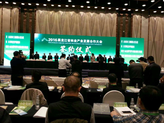 仟億達831999碳交易業(yè)界影響力較強，副總田衛(wèi)然接受黑龍江廣播電視臺采訪