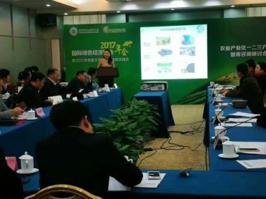 仟億達(dá)總裁王元圓在咨詢會上進(jìn)行代表性項(xiàng)目咨演