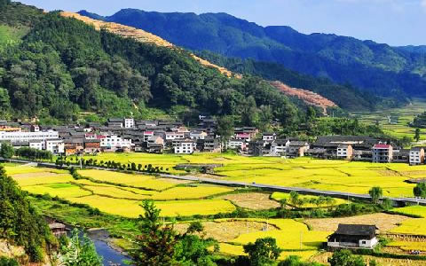 祝賀仟億達(dá)集團(tuán)與錦屏縣就林業(yè)碳匯項(xiàng)目達(dá)成合作 祝賀仟億達(dá)集團(tuán)與錦屏縣就林業(yè)碳匯項(xiàng)目達(dá)成合作