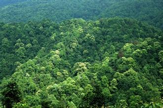 仟億達(dá)碳資產(chǎn)交易 幫人類找回一個干凈的文明社會 仟億達(dá)碳資產(chǎn)交易 幫人類找回一個干凈的文明社會