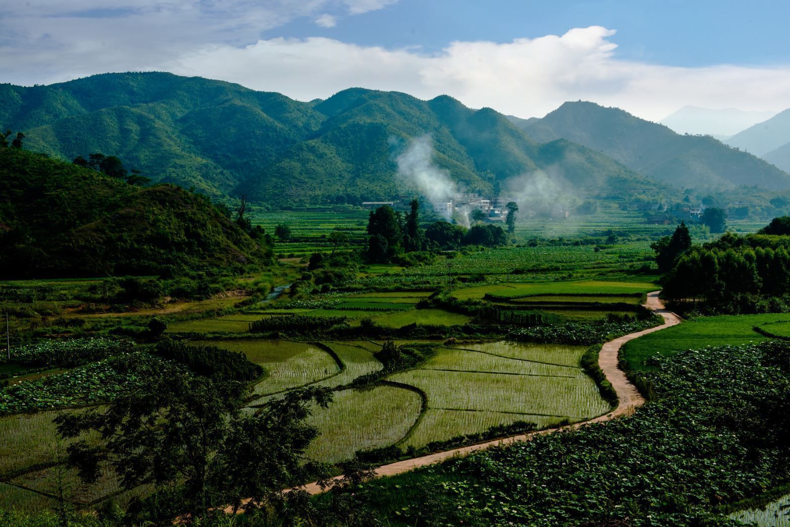 仟億達(dá)億碳與江西鎮(zhèn)石城縣達(dá)成林業(yè)碳匯項目合作 仟億達(dá)億碳與江西鎮(zhèn)石城縣達(dá)成林業(yè)碳匯項目合作